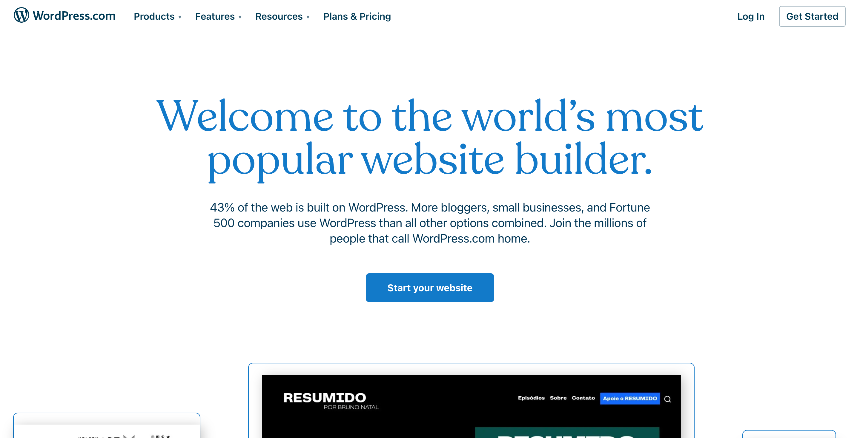 build an online store using wordpress